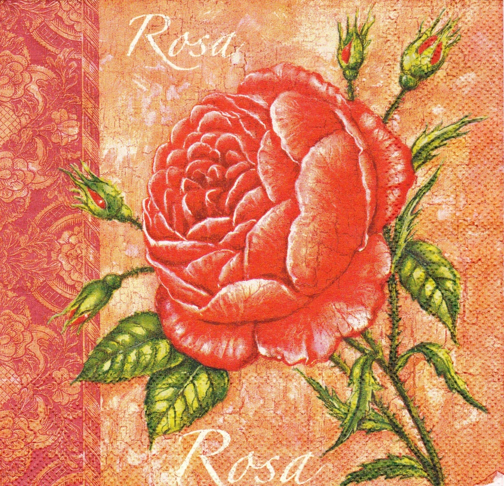 Ubrousek Rosa