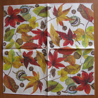 Ubrousek Podzimní listí 04