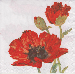 Ubrousek Vlčí máky 02