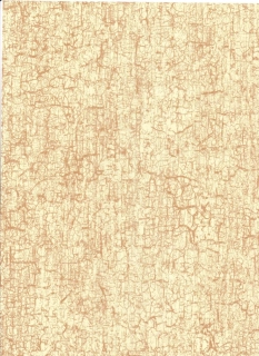 334 Krémový krakelovaný