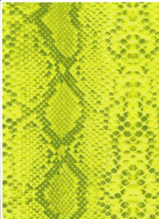 481 Zelená hadí kůže
