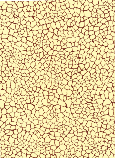 558 Písková mozaika