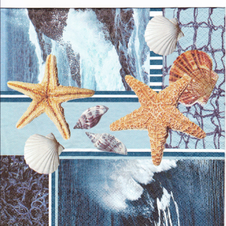 Ubrousek Mořské 01