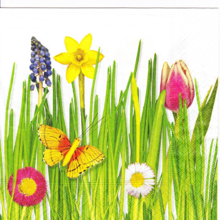 Ubrousek Motýl v jarní trávě