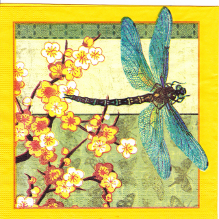 Ubrousek Vážka u jabloně