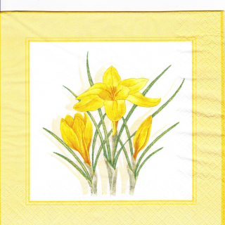 Ubrousek Žluté krokusy