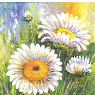 Ubrousek Luční kopretiny