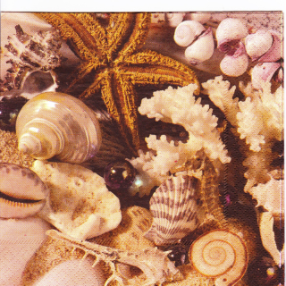 Ubrousek Mořský svět