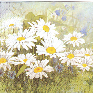 Ubrousek Kopretiny 01