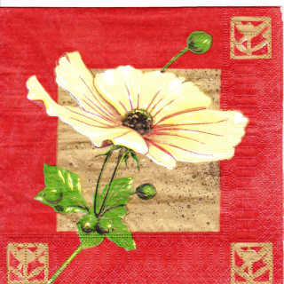 Ubrousek Bílý ibišek