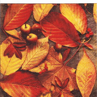 Ubrousek Podzimní listí 01