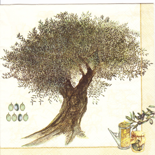 Ubrousek Olivový strom