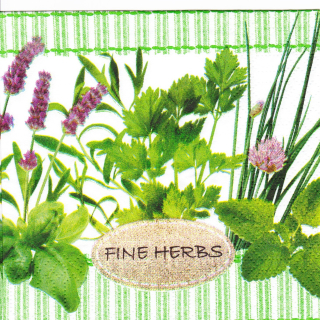 Ubrousek Bylinky malý