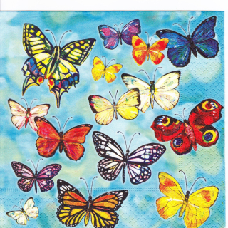 Ubrousek Motýli 