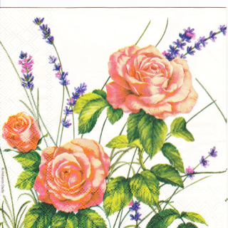 Ubrousek Růžové růže