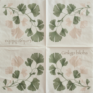 Ubrousek Ginkgo