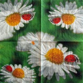 Ubrousek Kopretiny 02