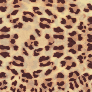 563 Světle hnědá leopardí kůže