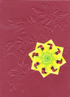 Přání "Brusinky v pralese"