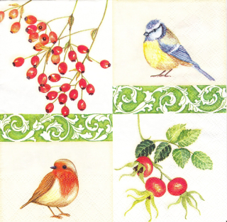 Ubrousek Šípky a ptáčci