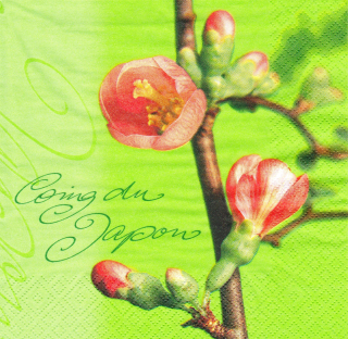 Ubrousek Rozkvetlá jabloň