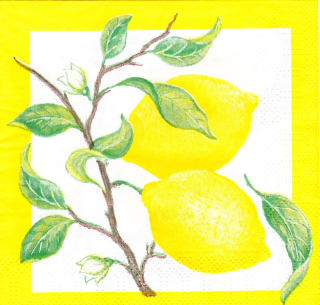 Ubrousek Citrón malý